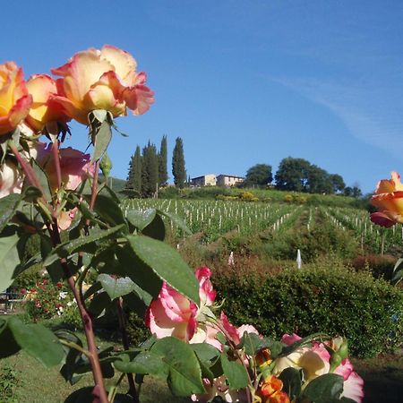 Villa Buonasera Agriturismo Greve in Chianti Eksteriør bilde