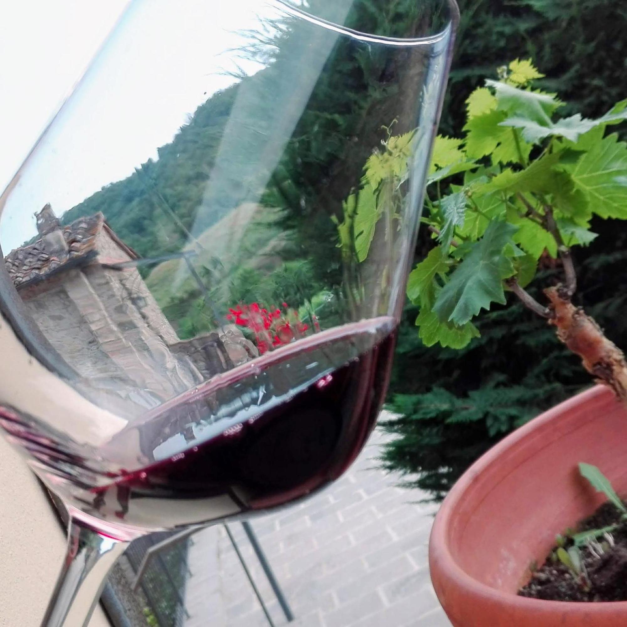 Villa Buonasera Agriturismo Greve in Chianti Eksteriør bilde