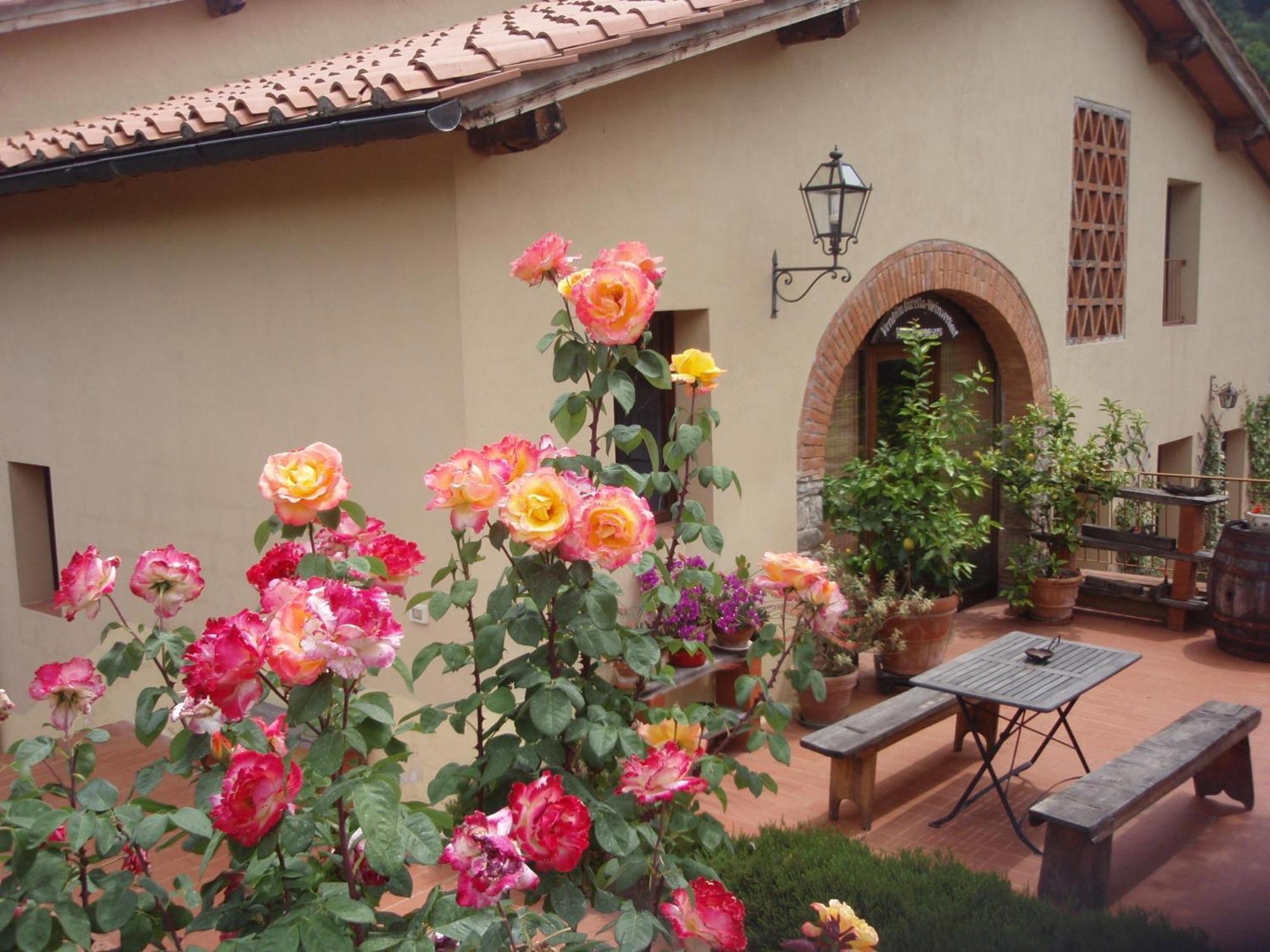 Villa Buonasera Agriturismo Greve in Chianti Eksteriør bilde