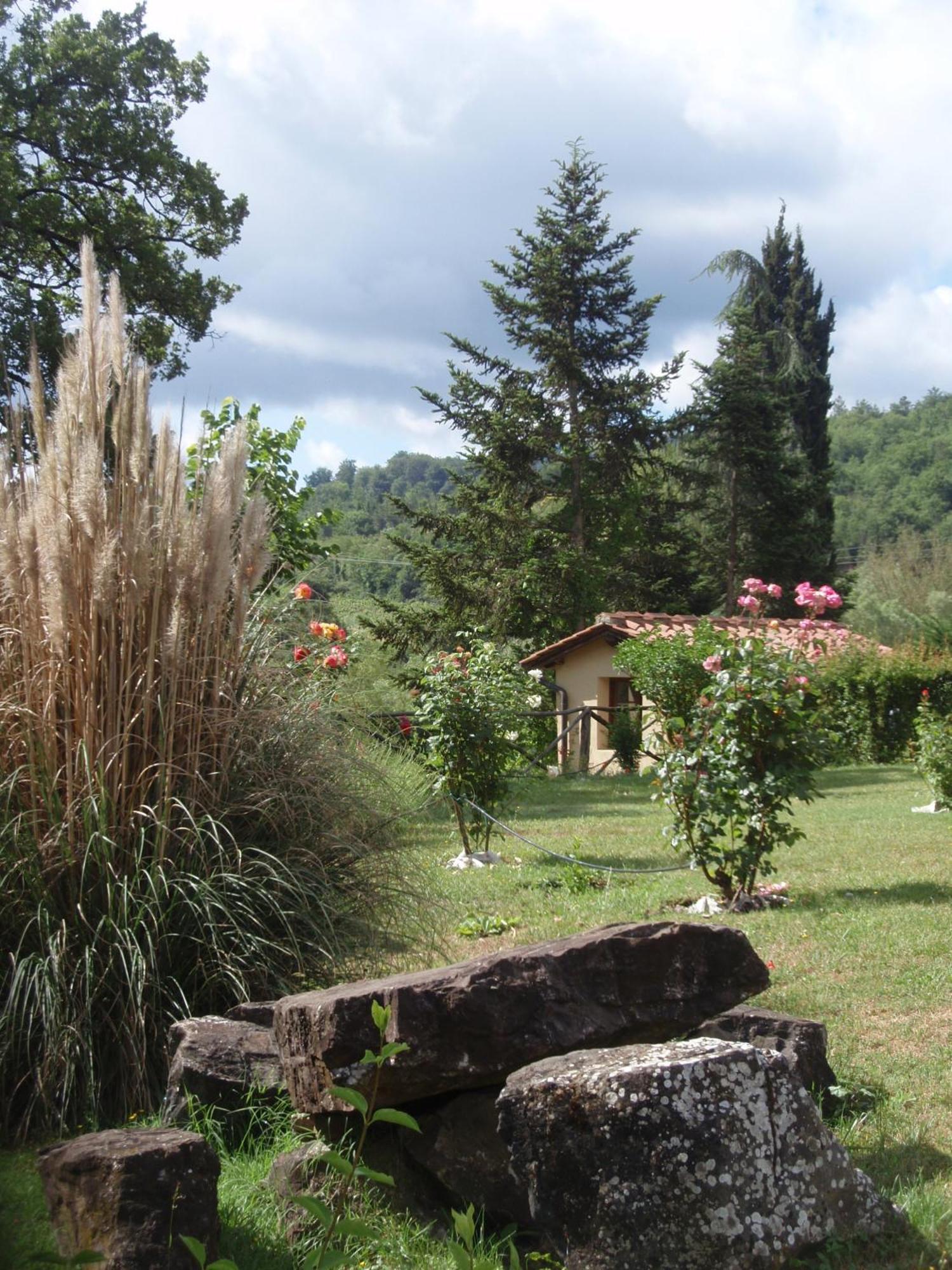 Villa Buonasera Agriturismo Greve in Chianti Eksteriør bilde