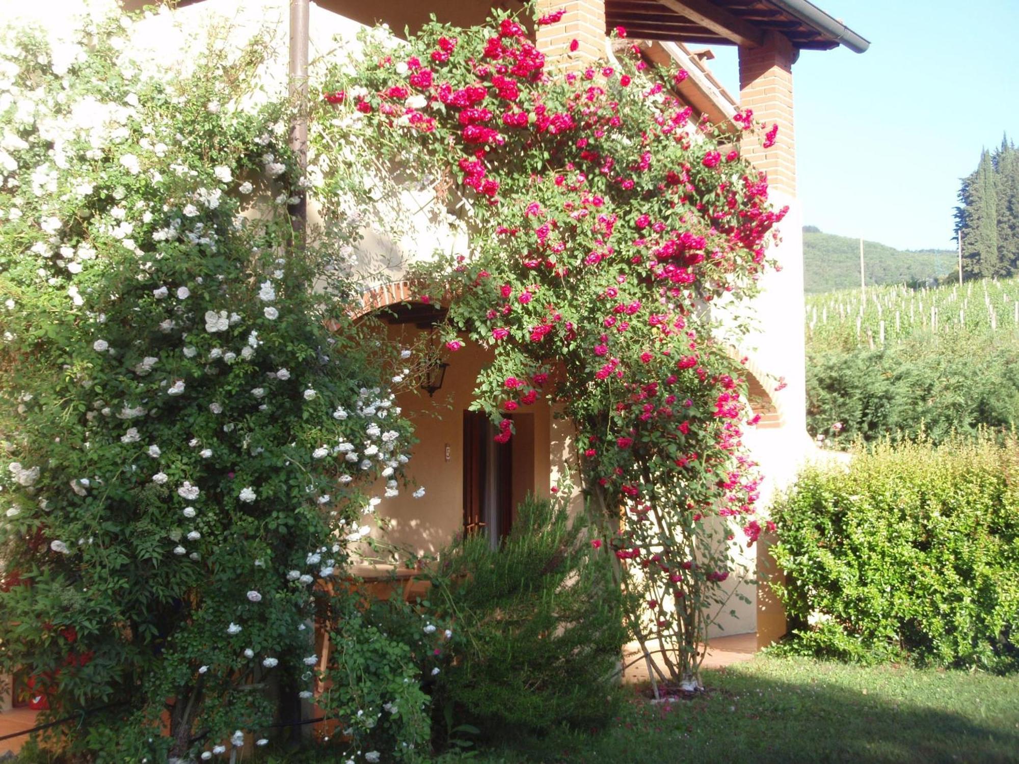 Villa Buonasera Agriturismo Greve in Chianti Eksteriør bilde