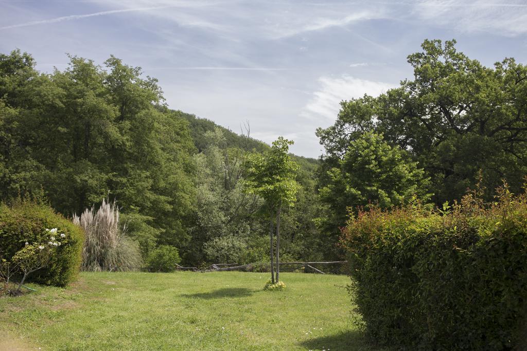 Villa Buonasera Agriturismo Greve in Chianti Eksteriør bilde